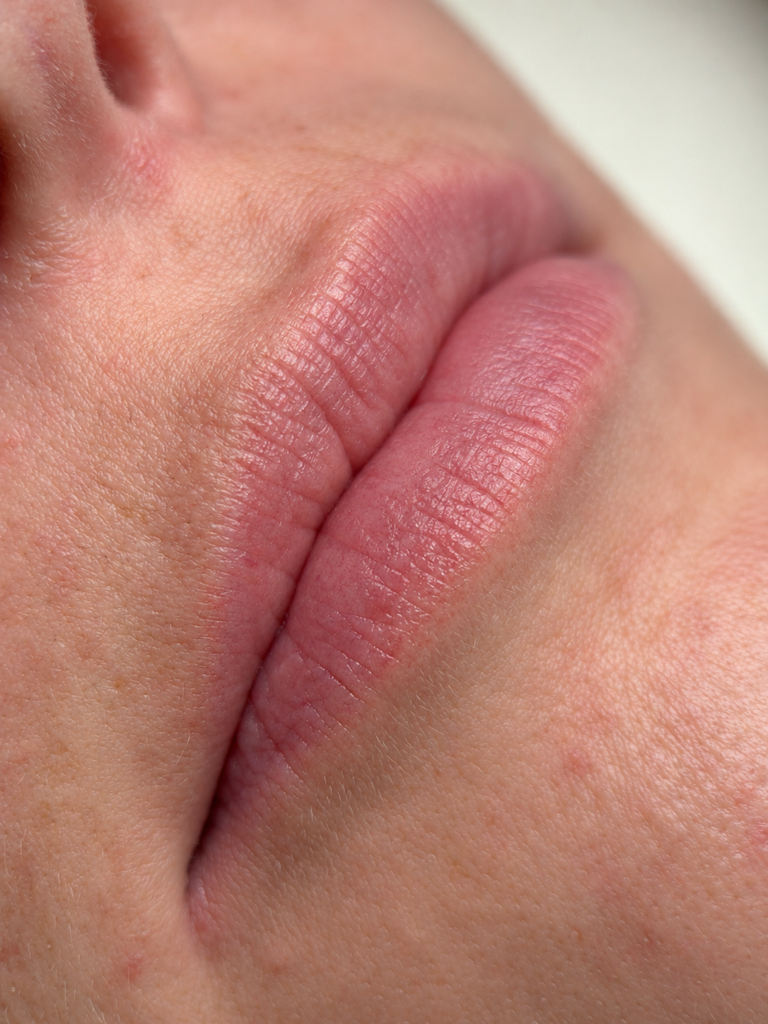 Client's natural lips before lip blush treatment
